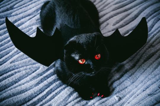 Halloween Unmasked LUTs image