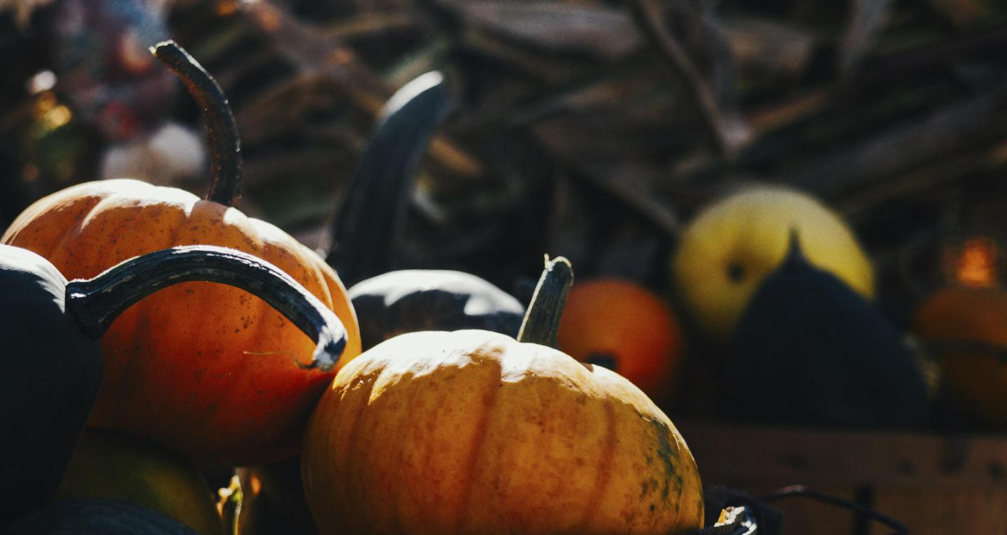 Halloween Unmasked LUTs — slide 1