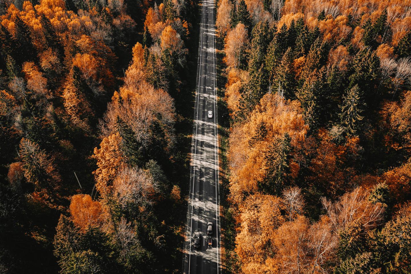AUTUMN COLORS — slide 3