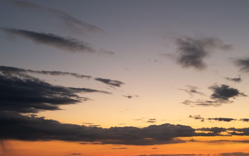 Skies included in the pack(2)