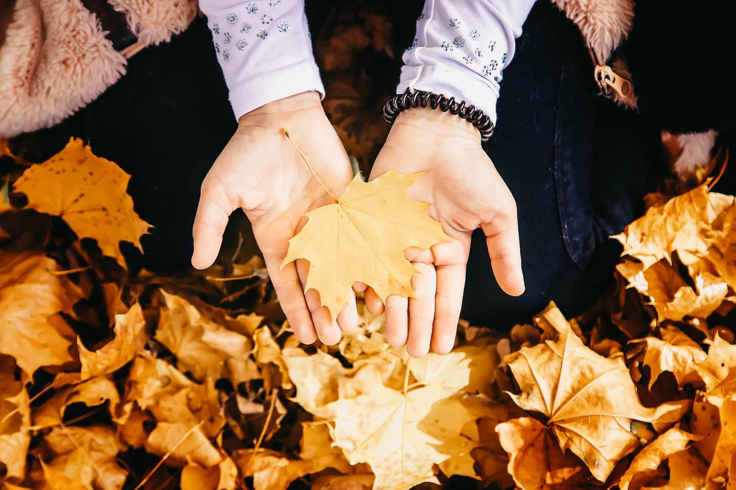 GOLDEN LEAVES — slide 2