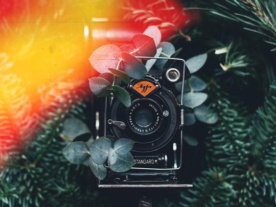 Expired Film Overlays image