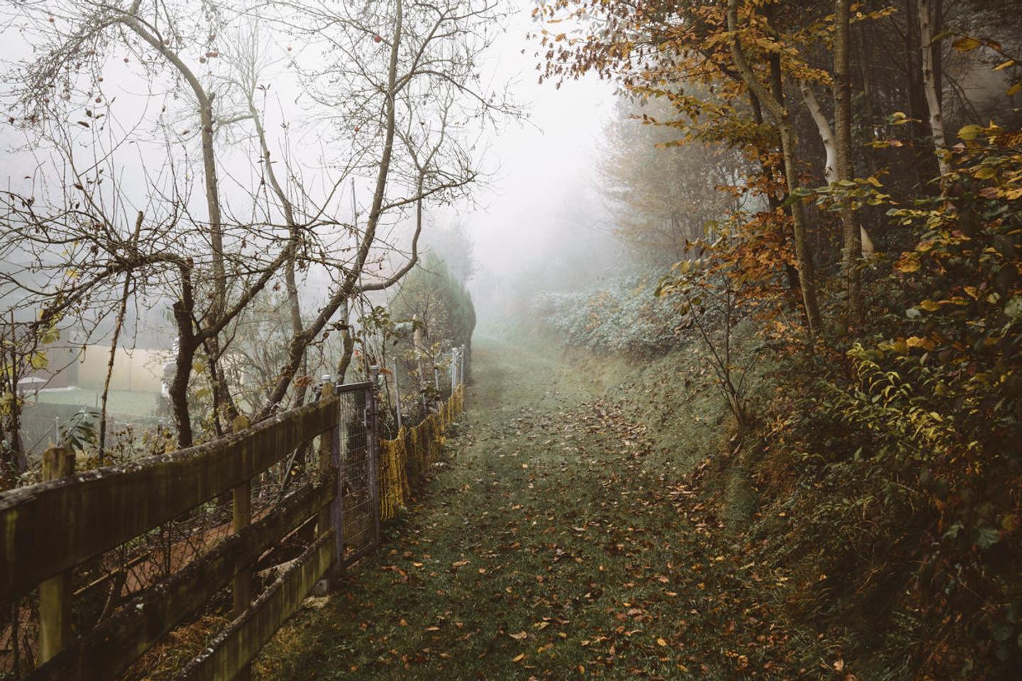Autumn Symphony LUTs — slide 3