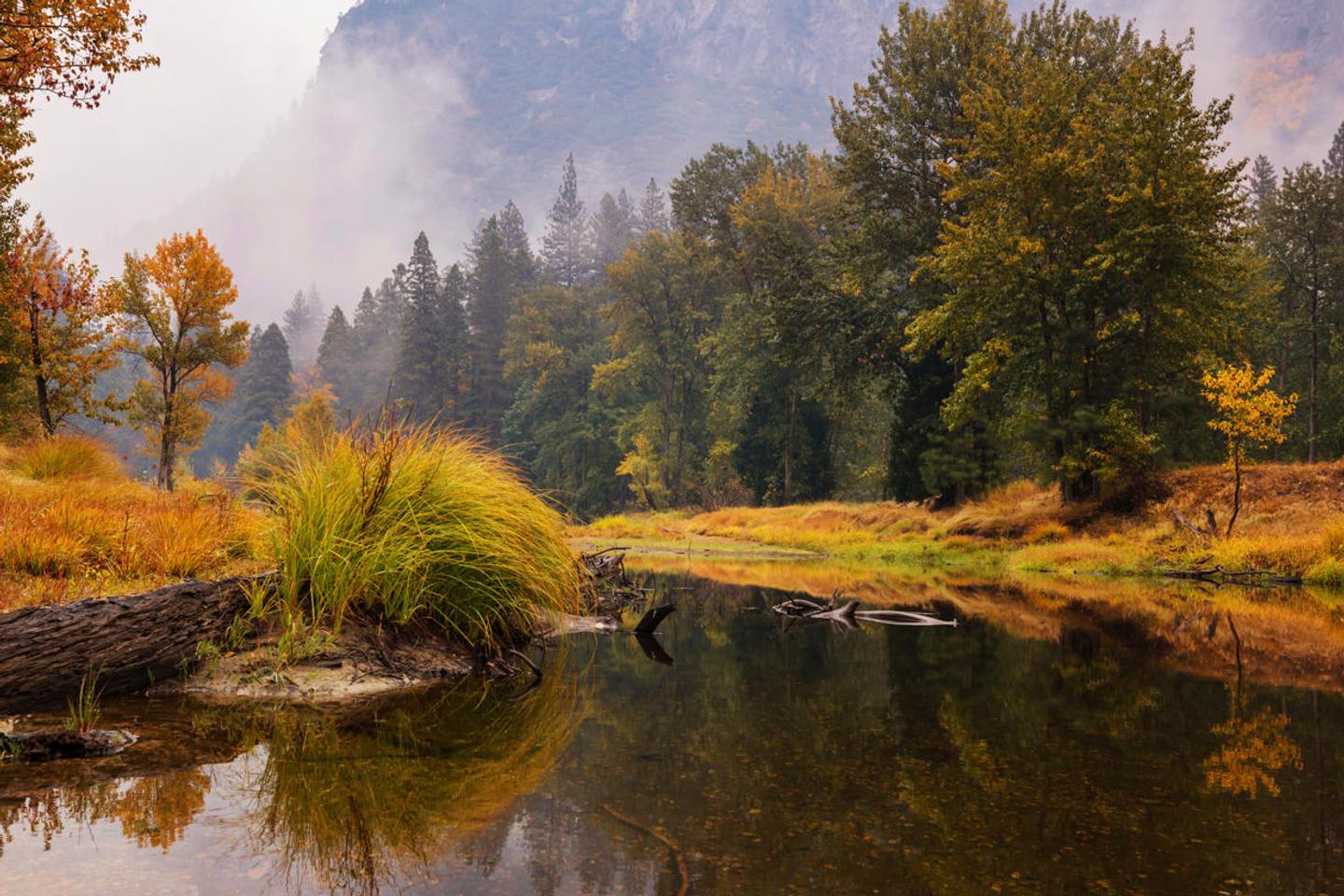 Autumn Symphony LUTs — slide 1