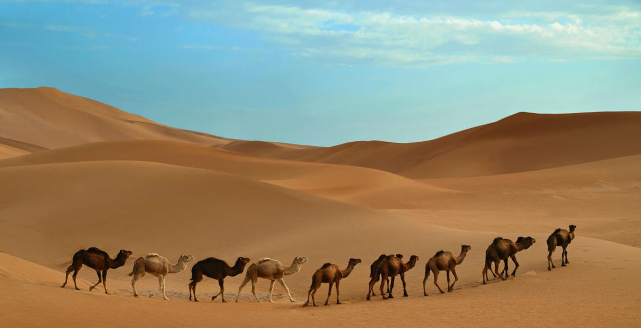 Désert du Sahara(44)