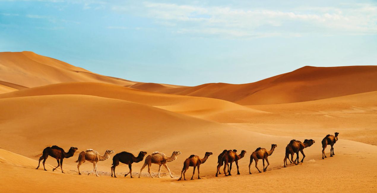 Désert du Sahara(45)