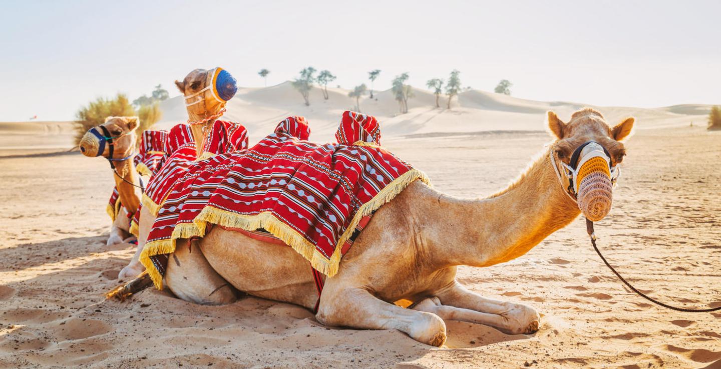 Sahara Desert — slide 3