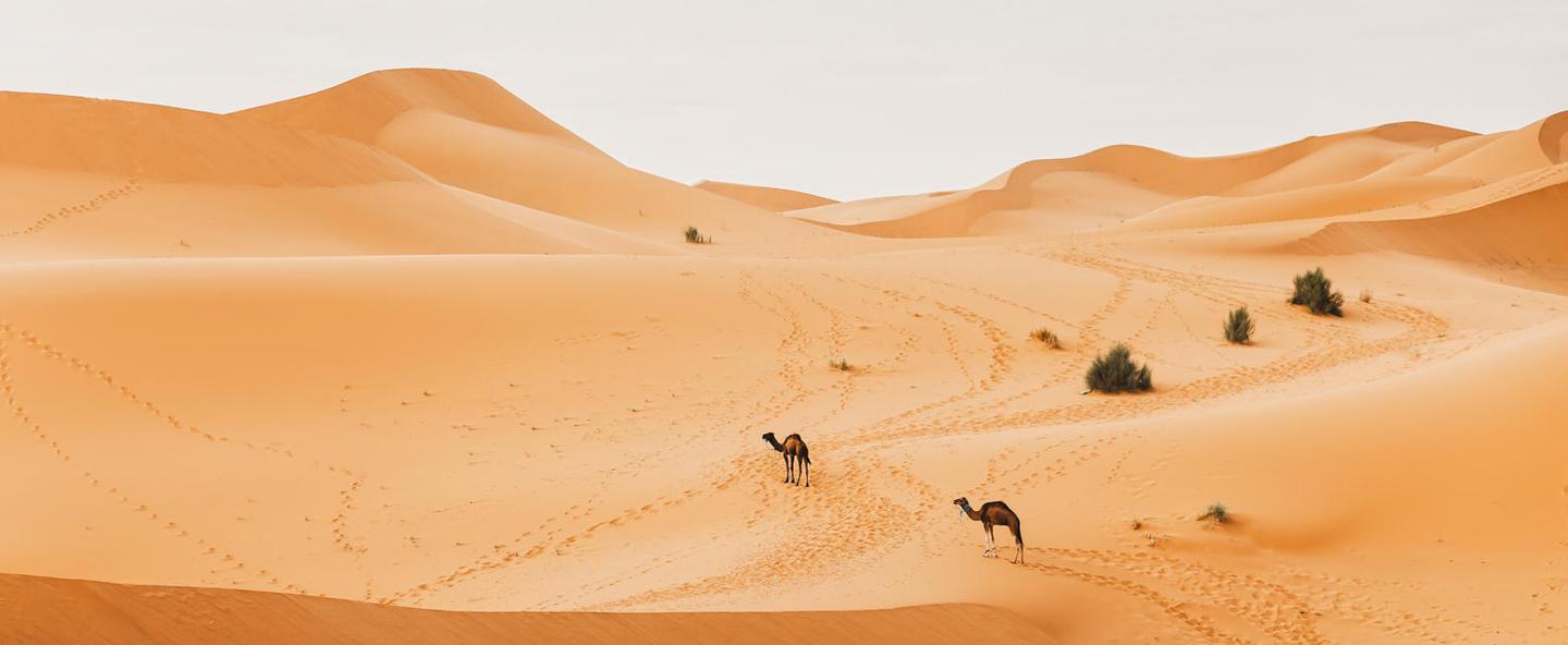 Sahara Desert — slide 1