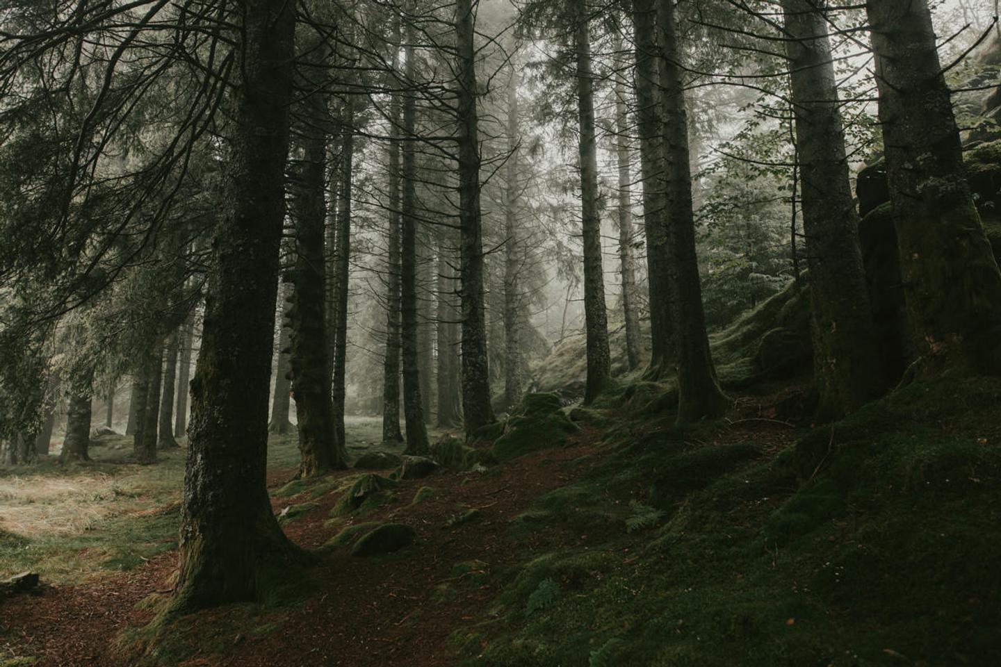 Gloomy Tones LUTs — slide 3