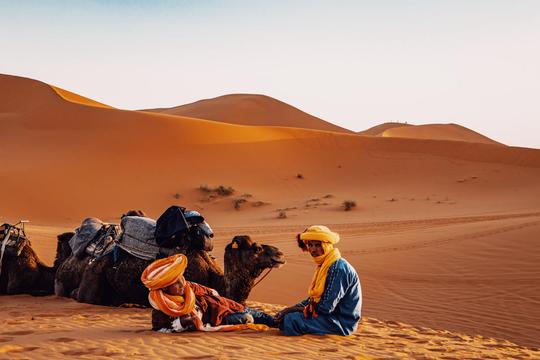 Desert Vibes LUTs image