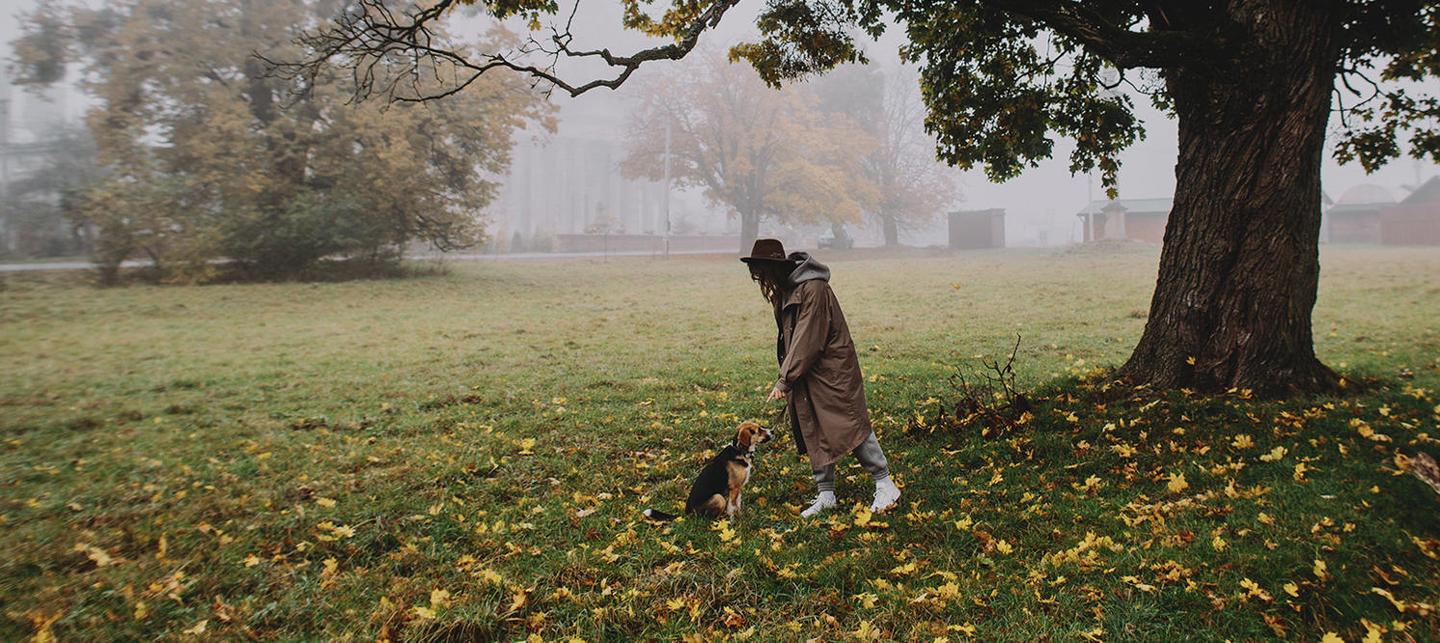 PORTRAITS IN FALLEN LEAVES — slide 2