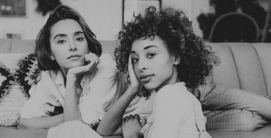 Onyx B&W Presets image