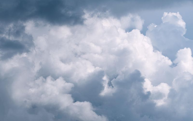 Skies included in the pack(10)