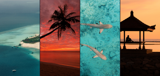 Dreamy Vacation Bundle image