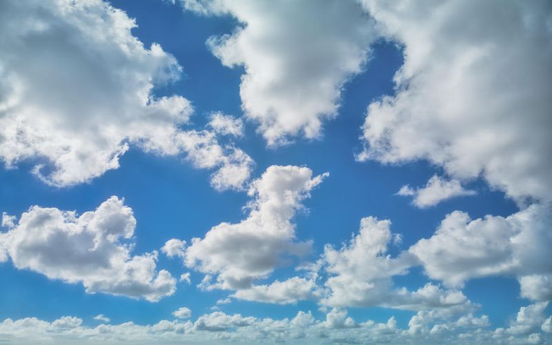 Skies included in the pack(16)