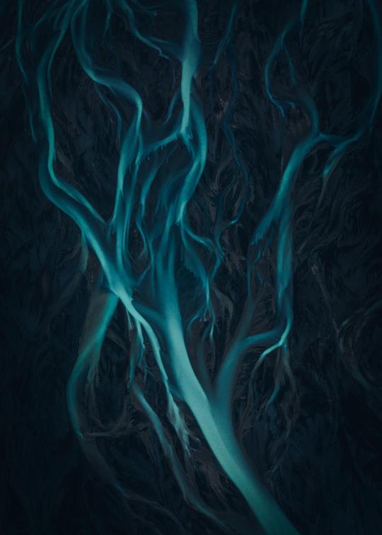Timeless Collection image