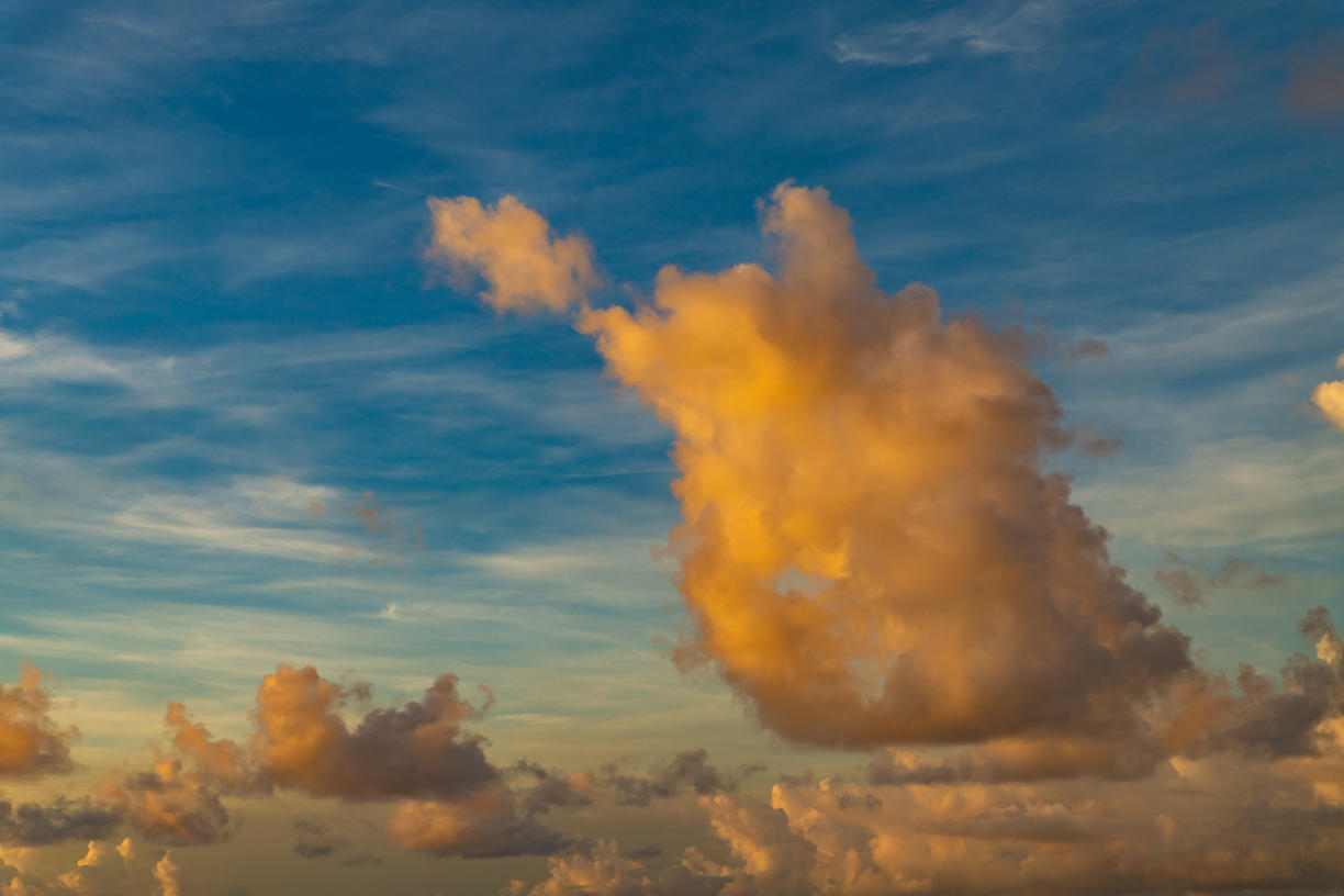 Golden Sunsets | Luminar Marketplace(53)