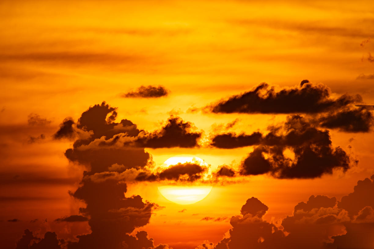 Golden Sunsets | Luminar Marketplace(55)