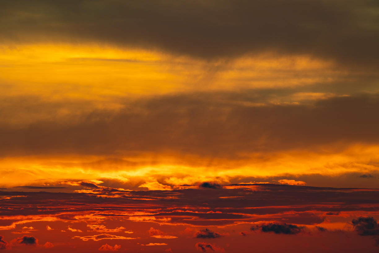 Golden Sunsets | Luminar Marketplace(58)