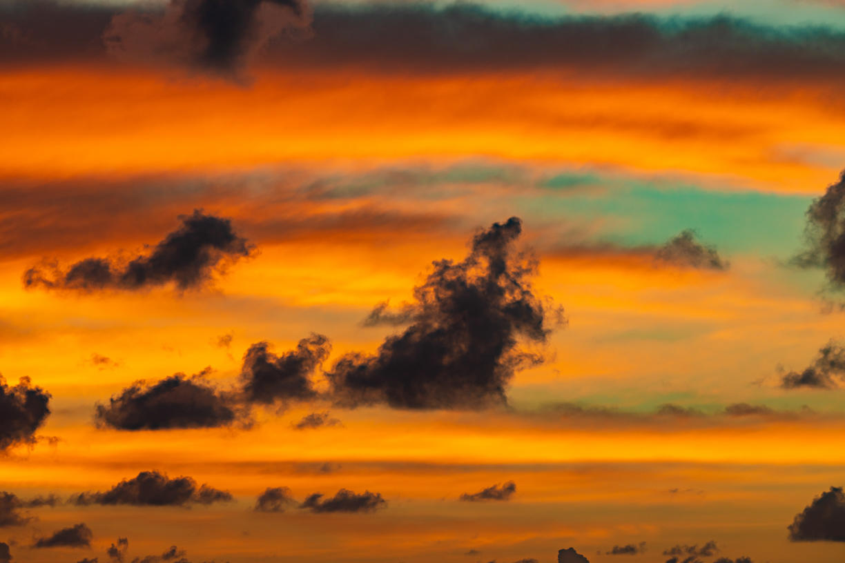 Golden Sunsets | Luminar Marketplace(66)