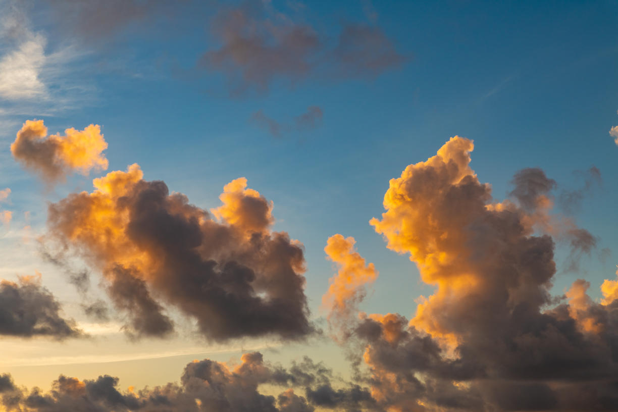 Golden Sunsets | Luminar Marketplace(69)