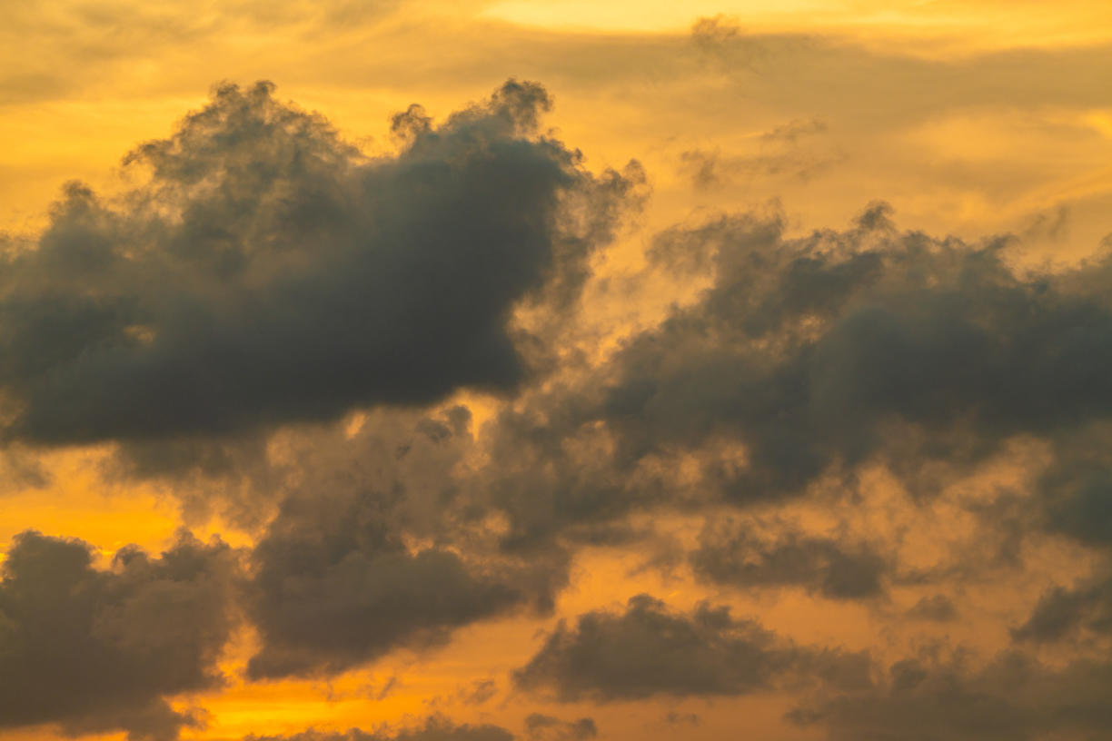 Golden Sunsets | Luminar Marketplace(73)