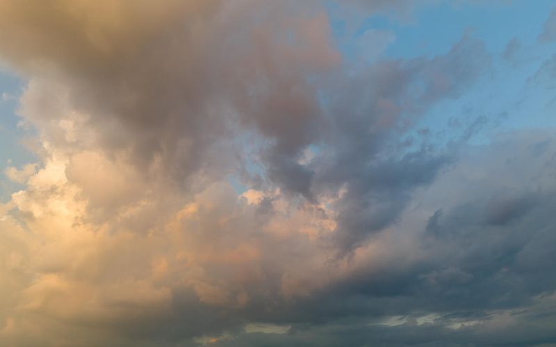 Skies included in the pack(9)
