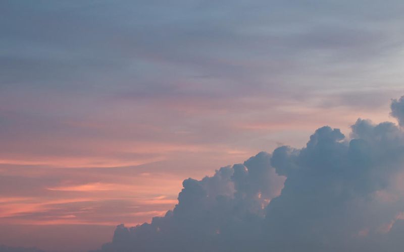 Skies included in the pack(4)