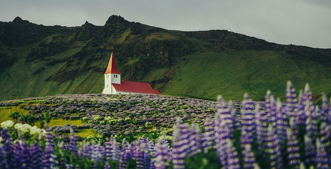 L'appel de l'Islande(44)