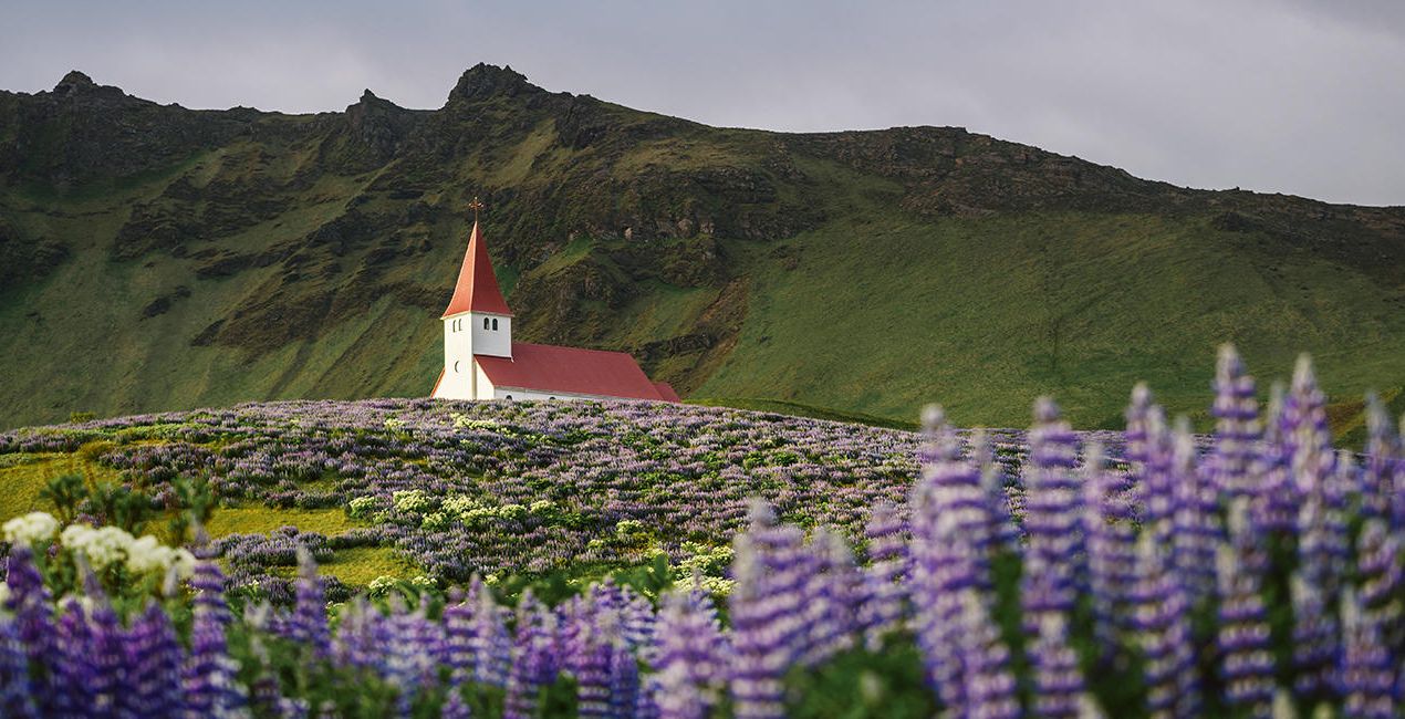 L'appel de l'Islande(43)