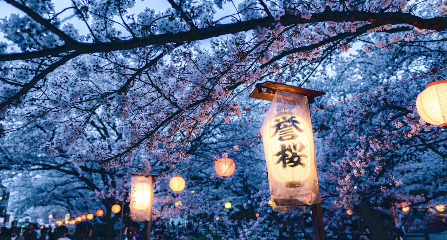 Blossom Season — slide 3