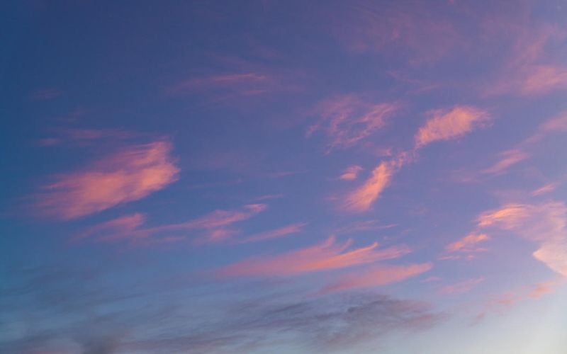 Skies included in the pack(2)