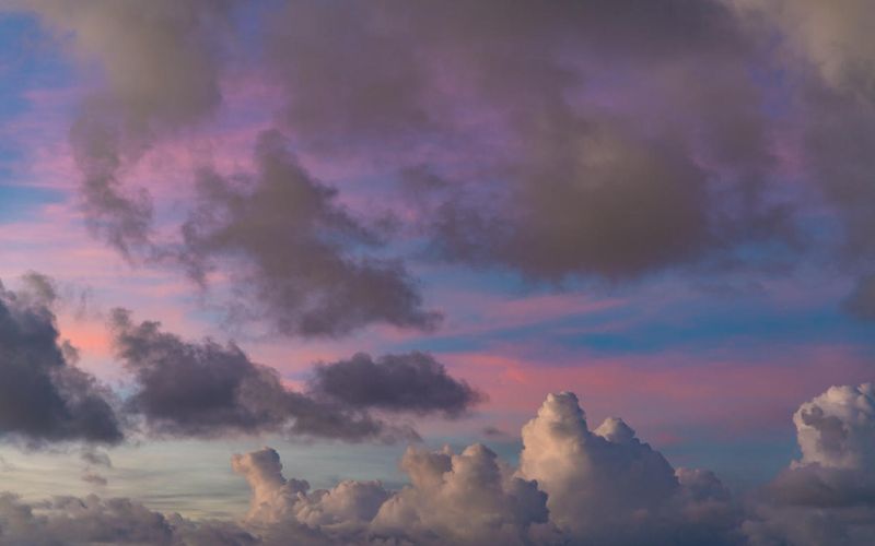 Skies included in the pack(13)