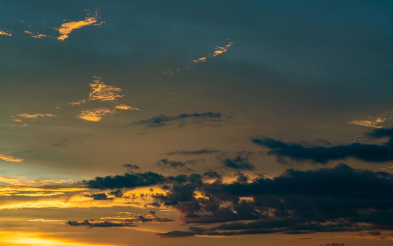 Skies included in the pack(48)