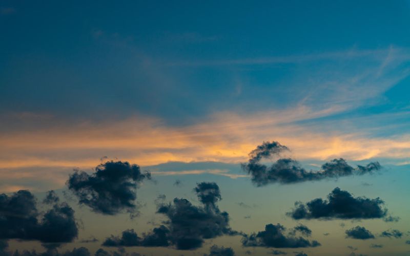 Skies included in the pack(57)