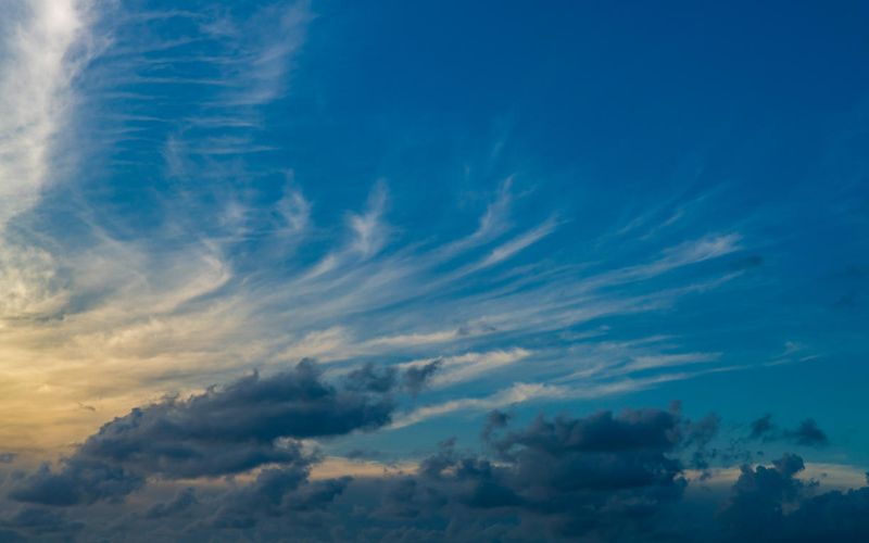 Skies included in the pack(62)