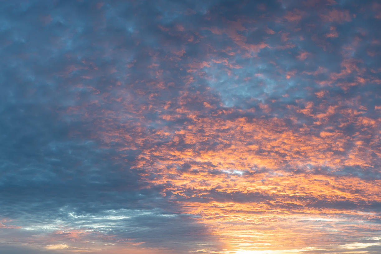 Vanilla Skies | Luminar Marketplace(50)