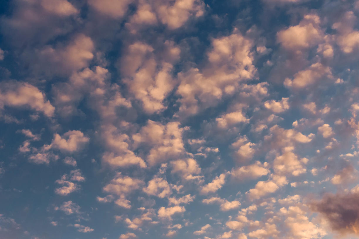 Vanilla Skies | Luminar Marketplace(52)