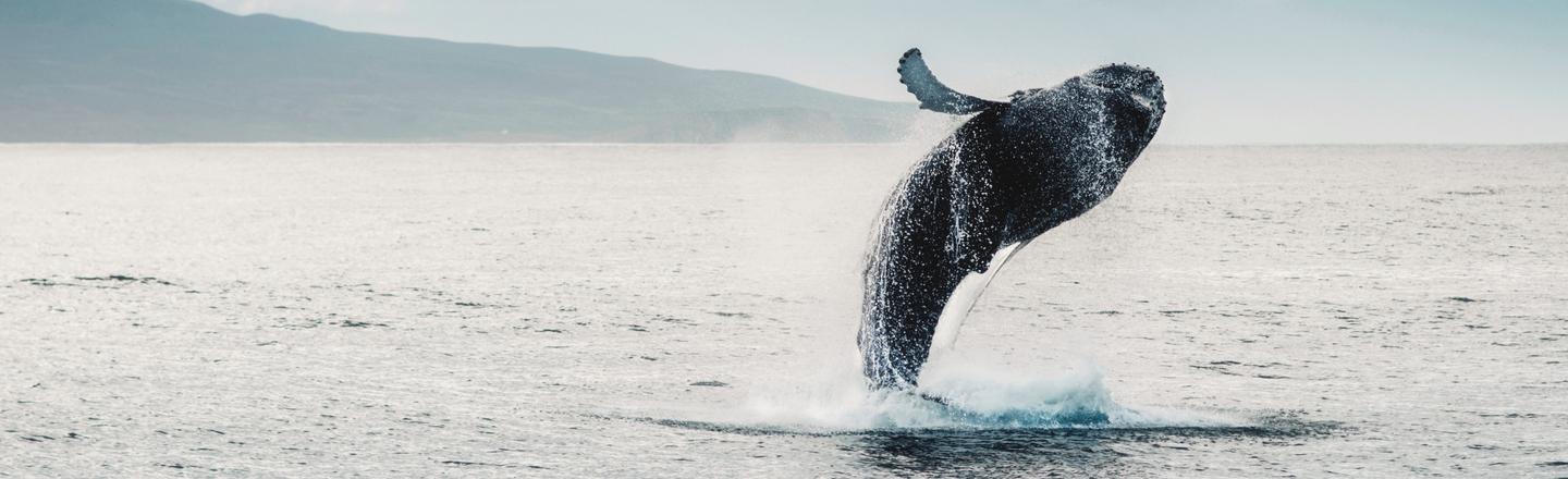 Charming Waterscapes LUTs — slide 2