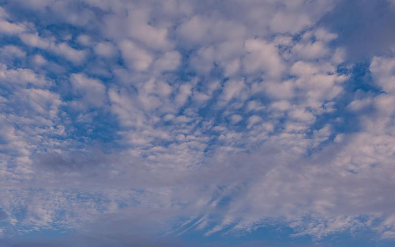 Skies included in the pack(2)