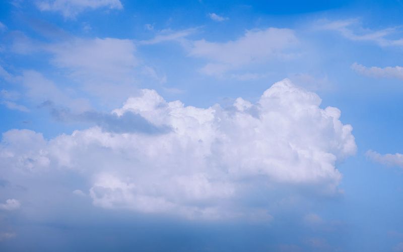 Skies included in the pack(5)