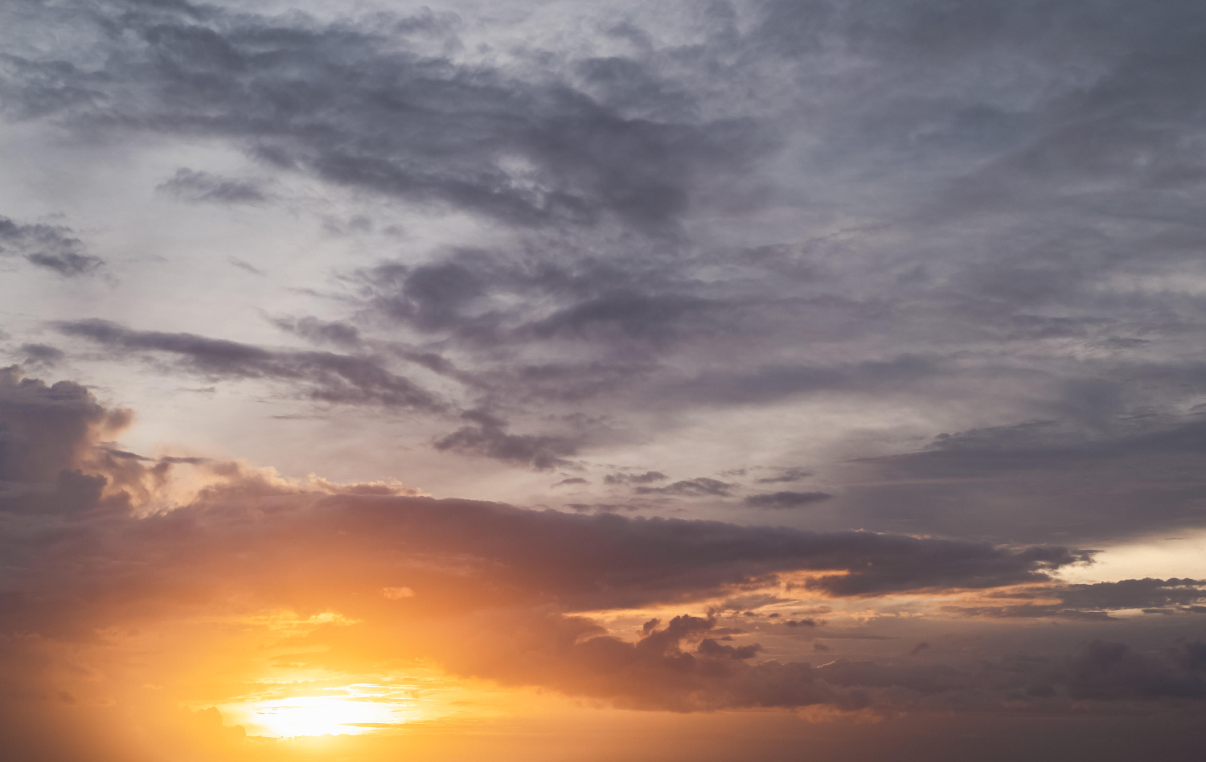 Whisper of the Ocean | Luminar Marketplace(54)