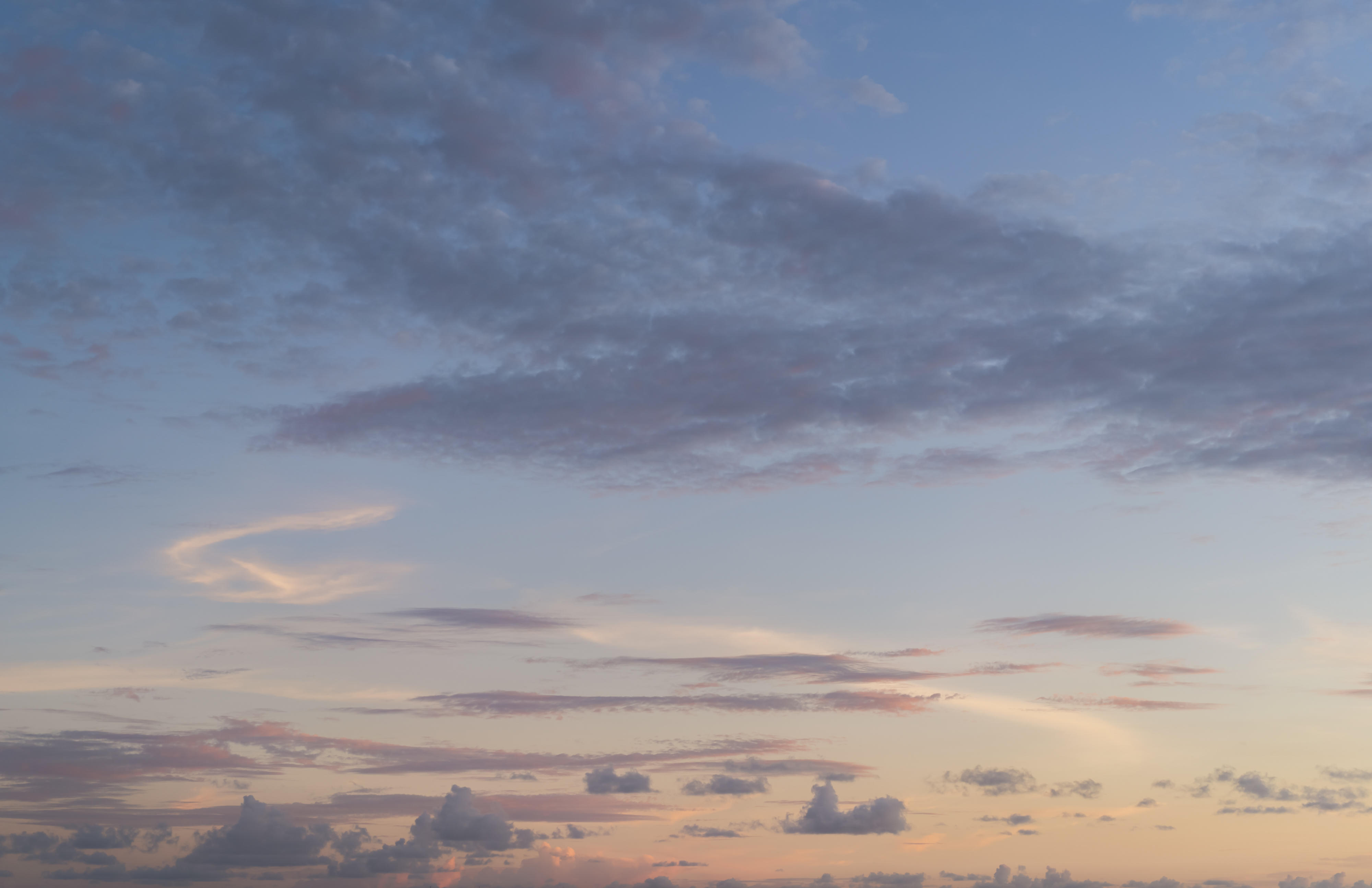 Whisper of the Ocean | Luminar Marketplace(60)