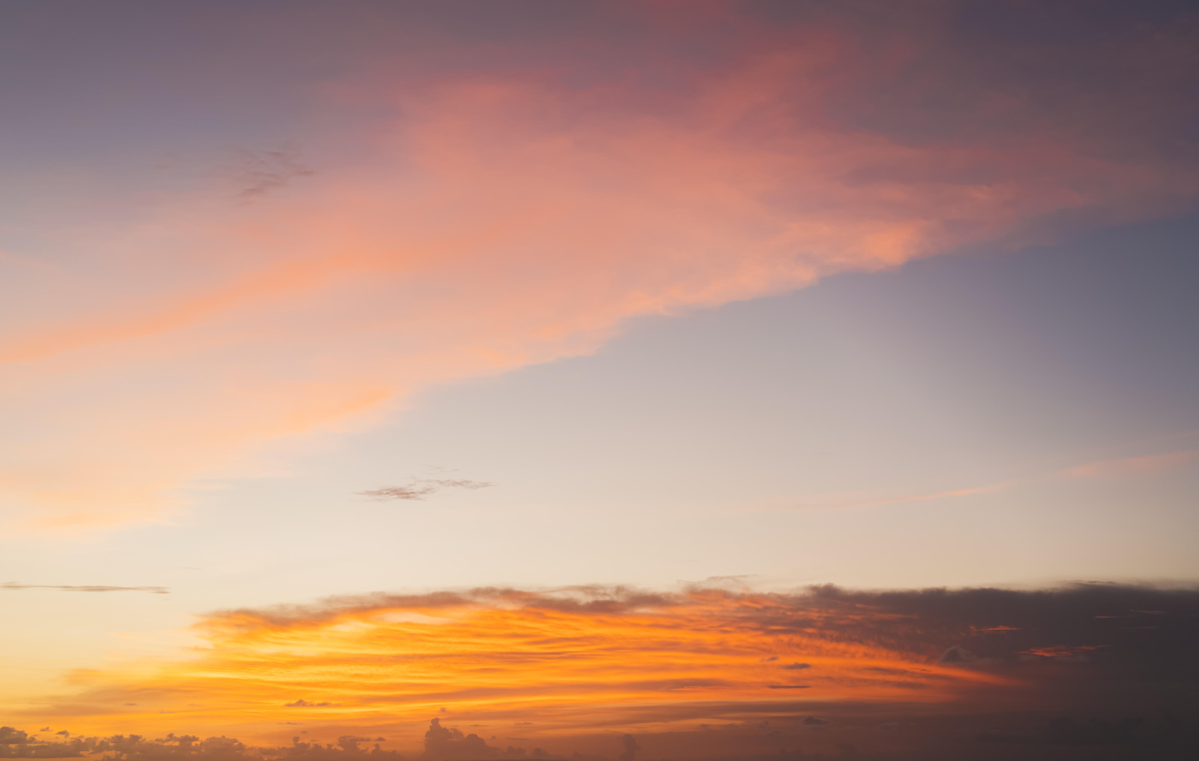 Whisper of the Ocean | Luminar Marketplace(61)