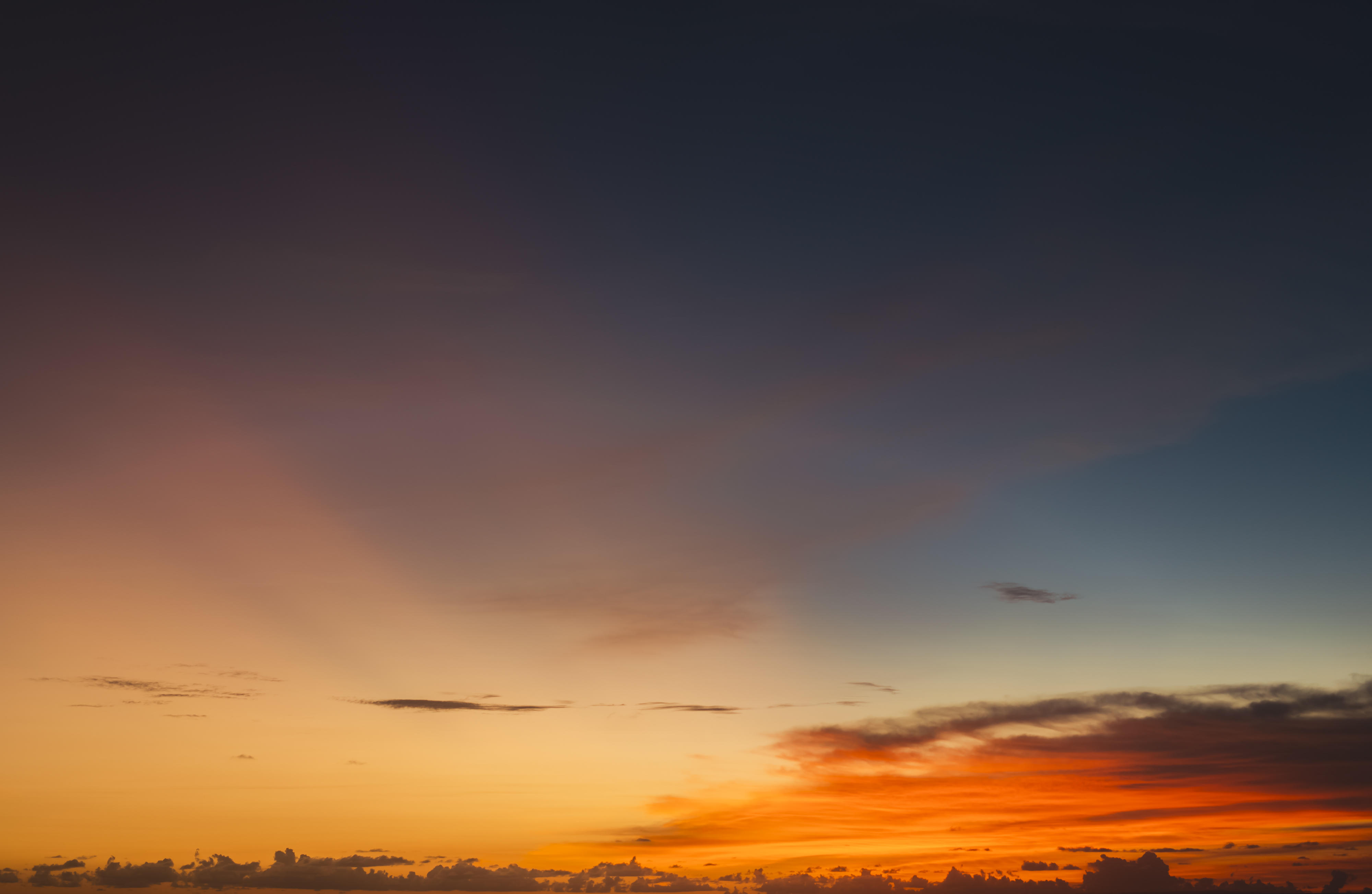 Whisper of the Ocean | Luminar Marketplace(62)