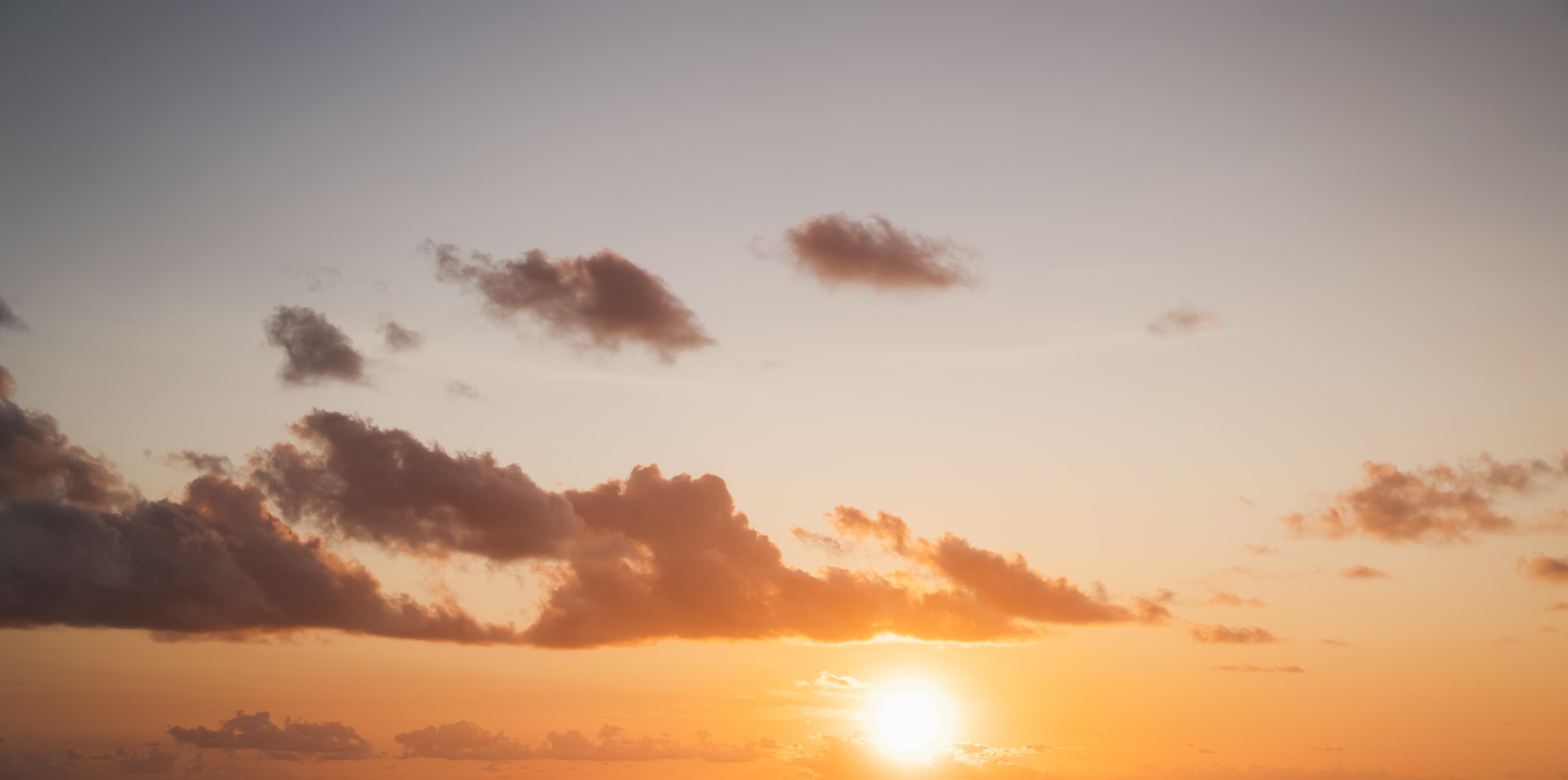 Whisper of the Ocean | Luminar Marketplace(63)