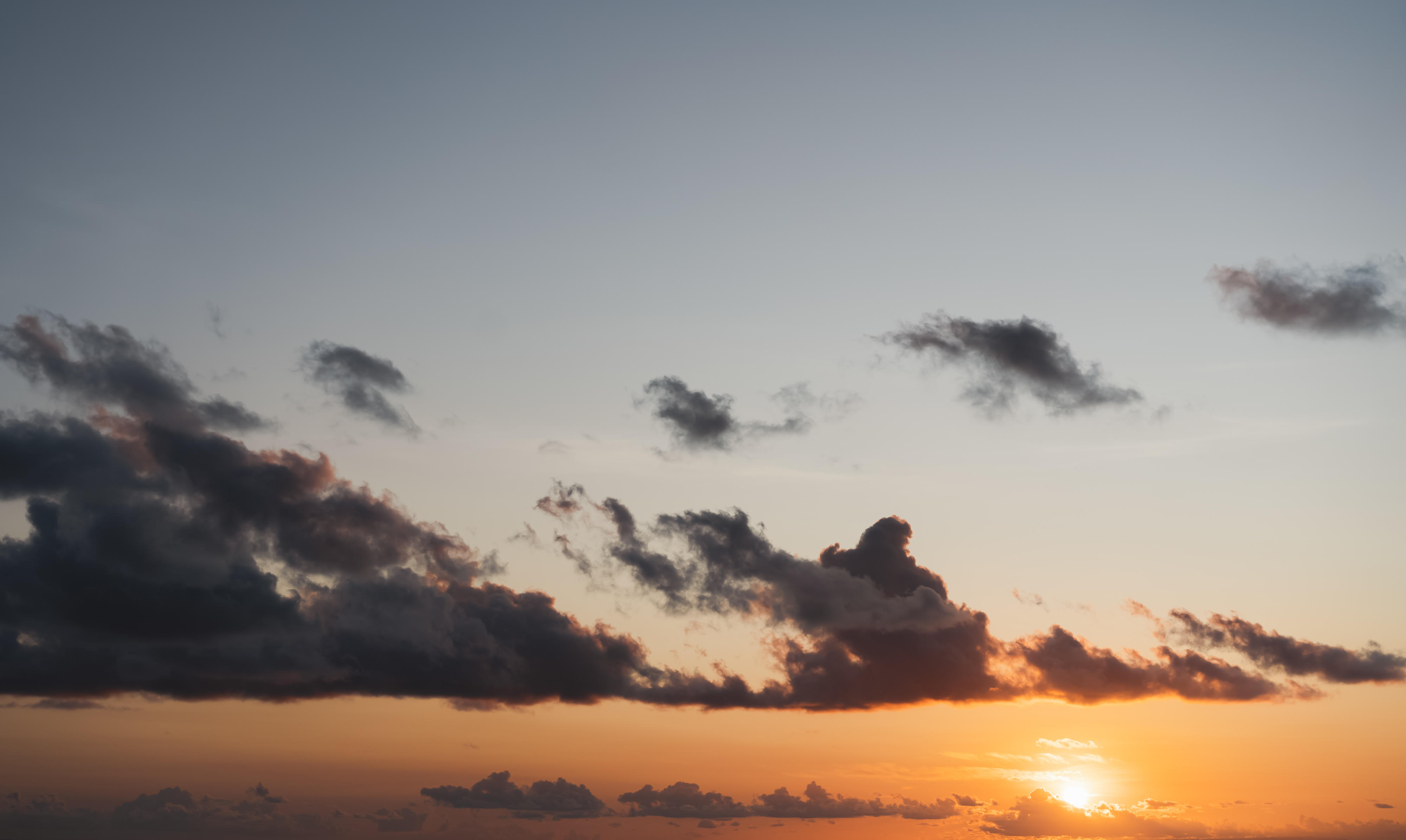 Whisper of the Ocean | Luminar Marketplace(64)