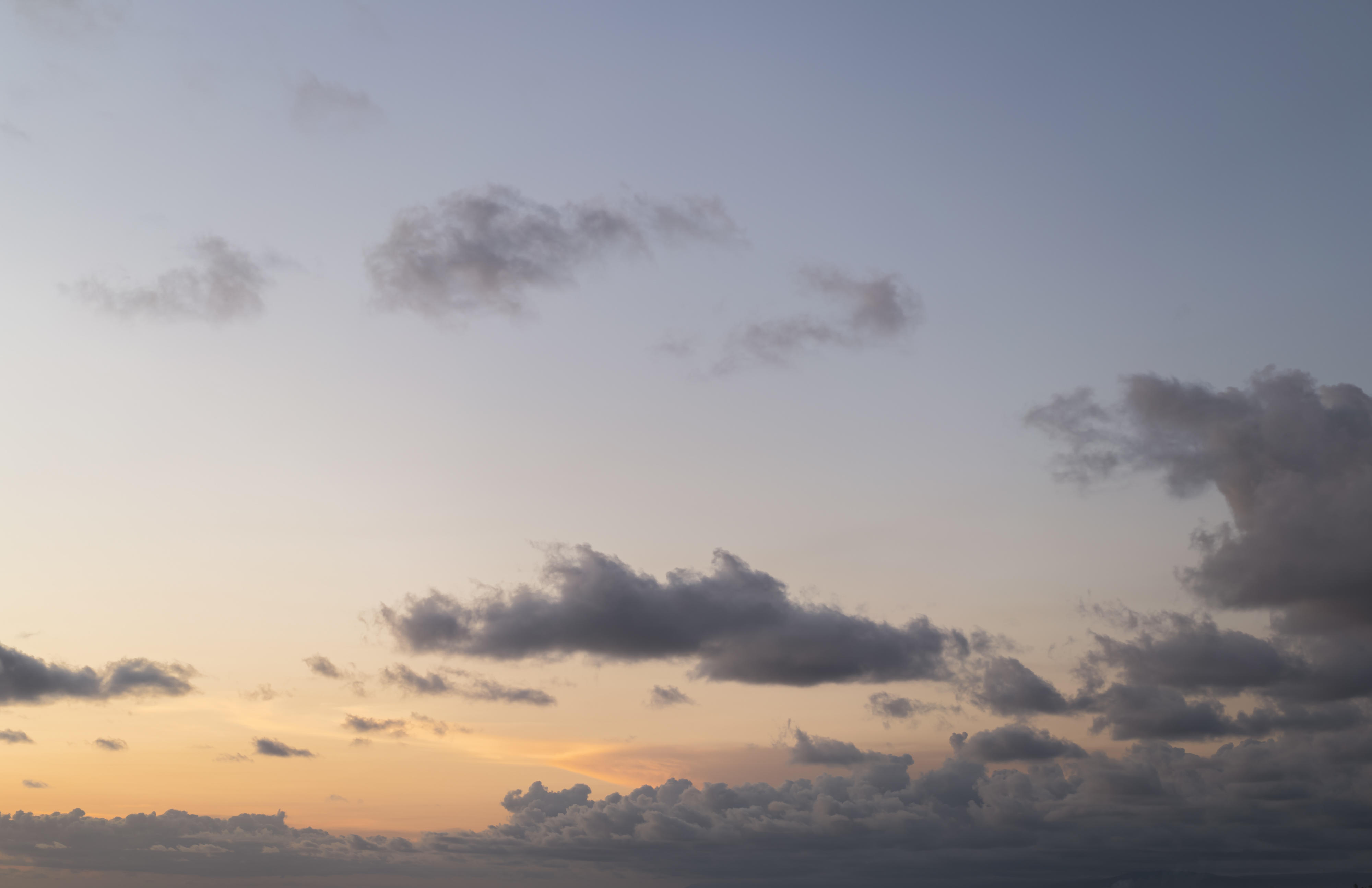 Whisper of the Ocean | Luminar Marketplace(65)