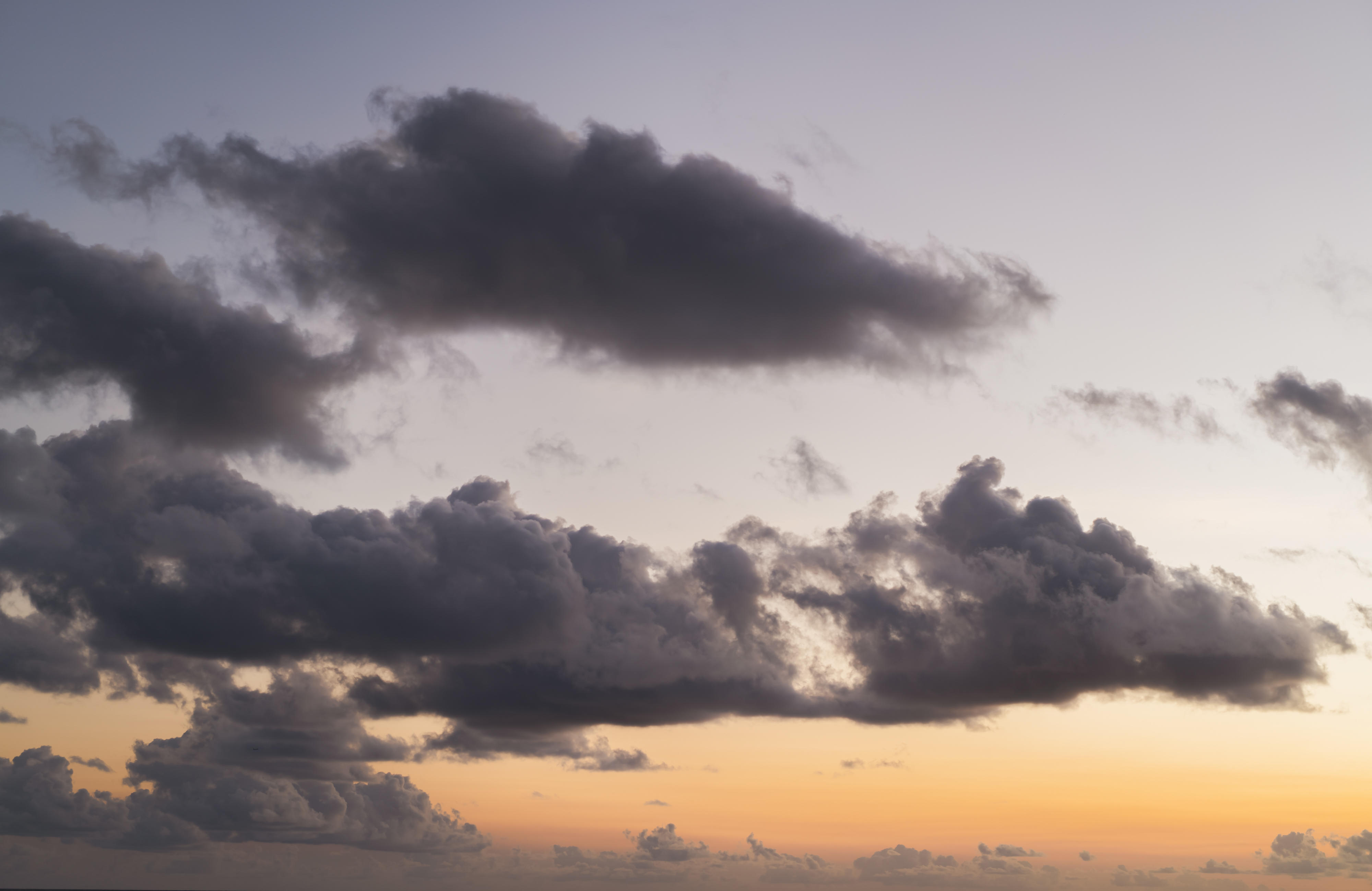 Whisper of the Ocean | Luminar Marketplace(66)