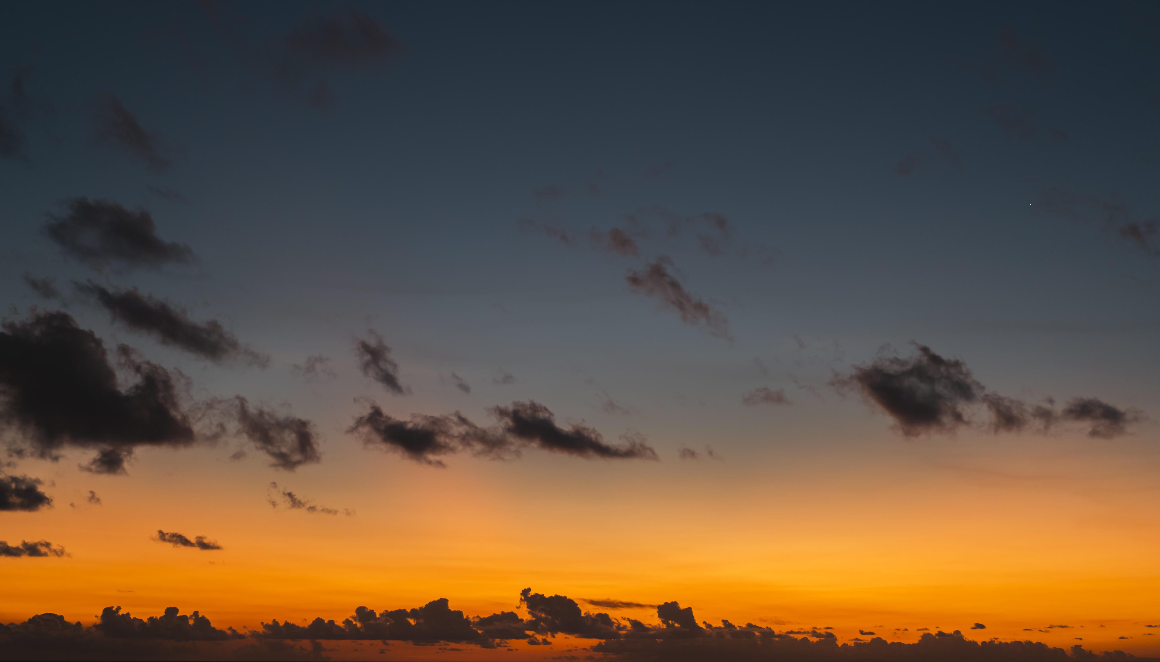 Whisper of the Ocean | Luminar Marketplace(68)